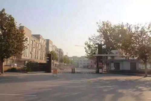 還原15年前的單縣，你還記得實驗小學的那些年嗎？